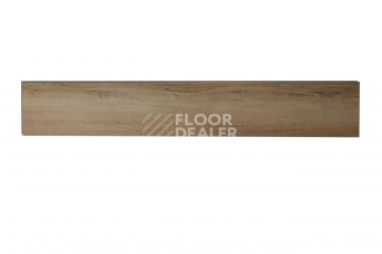 Tarkett Funky House BOB фото 7 | FLOORDEALER